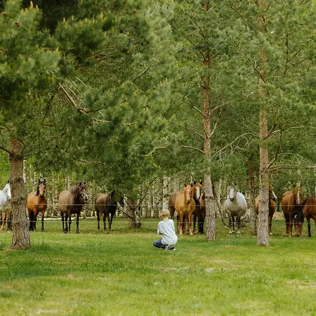 Seere Puhkemaja Hiiumaal Puhkemaja *